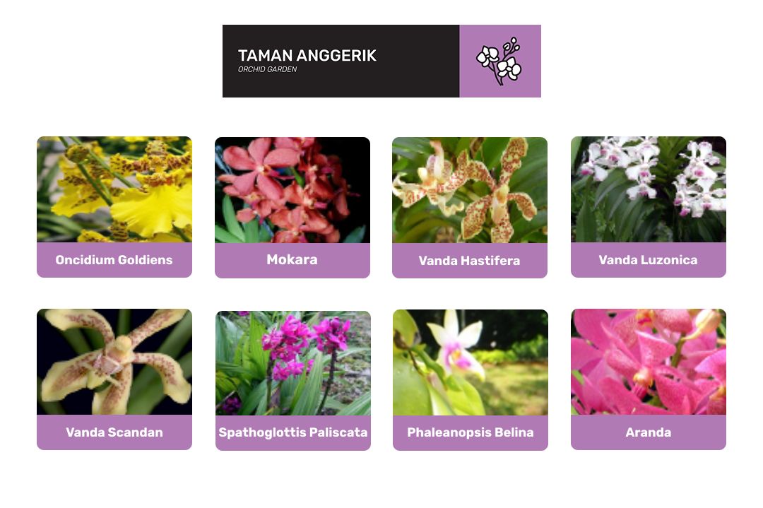 taman anggerik di taman botani diraja johor