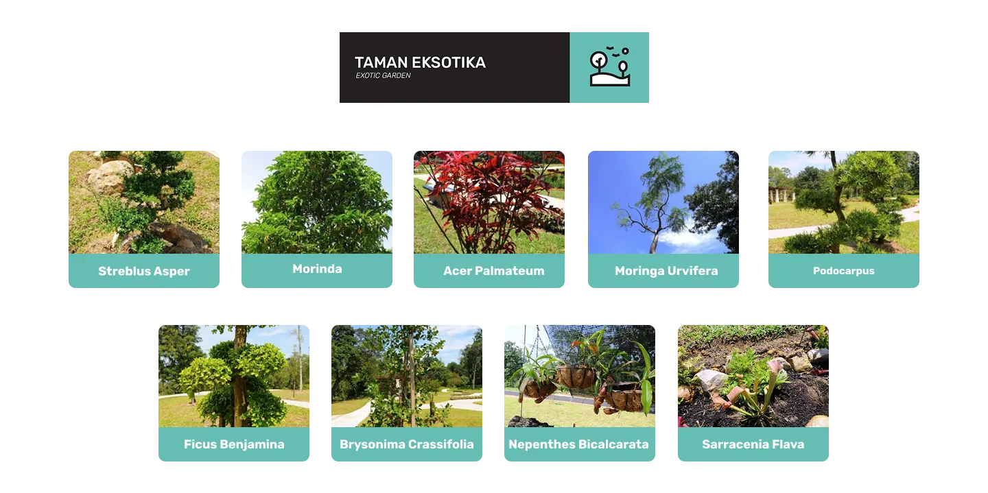 taman eksotika di taman botani diraja johor