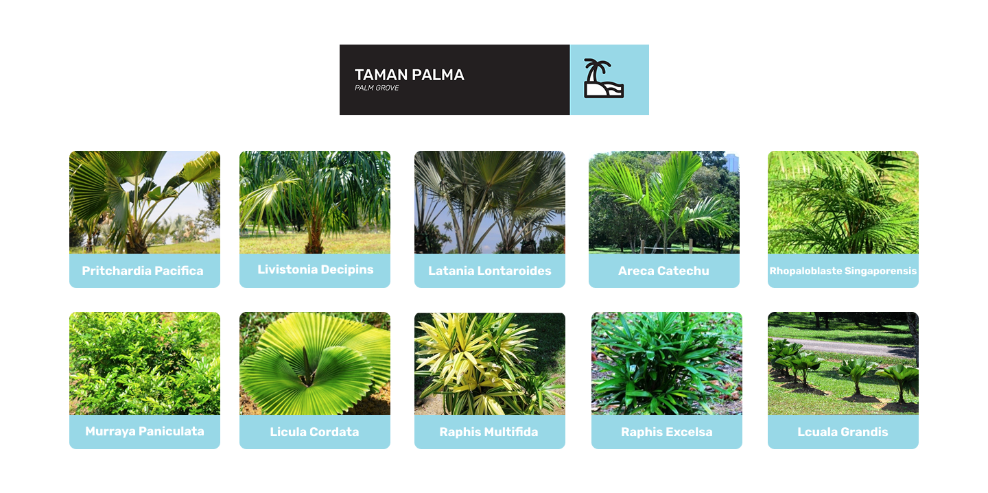taman palma di taman botani diraja johor